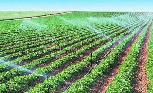嫩穴8网农田高 效节水灌溉